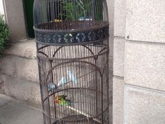 iphone_upload_pic-老味道民宿(栈桥店)