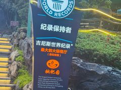 -枇杷园食为鲜火锅(南山店)