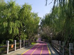 -尚贤河湿地