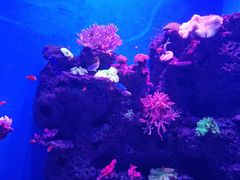 -石家庄极地海洋世界