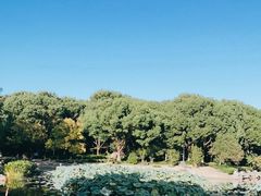 -昆山城市公园
