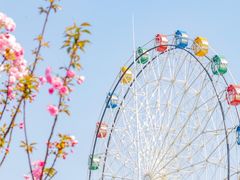 -观澜湖生态运动公社