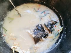 -小团圆灶台鱼·百城头牌菜(千岛湖店)