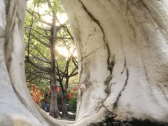 -云溪植物园