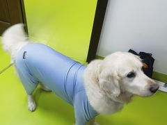 -美联众合动物医院·24h转诊中心