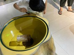 -上海昆虫博物馆