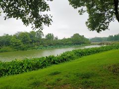 -艾溪湖湿地公园