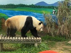 -苏州太湖国家湿地公园