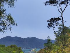 -大澳