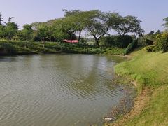 -太阳岛度假酒店