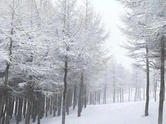 -密苑云顶乐园(云顶滑雪场)