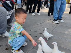 -天津妈祖文化园