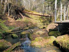 -五营红松林海景区
