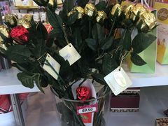 -星光糖果屋
