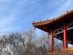 -哈尔滨极乐寺