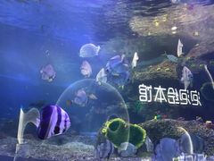 -沙沙哗啦海洋馆(华宇百花谷店)