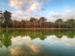 -中国科学院华南植物园