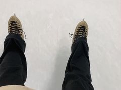 -世界之窗阿尔卑斯冰雪世界