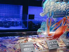 -徐记海鲜(大雁塔|金都店)