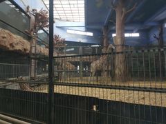 -鄂尔多斯野生动物园