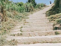 -梧桐山风景名胜区