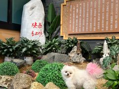 -安泰楼·佛跳墙创始人·传统闽味早茶·酒楼(三坊七巷闽菜地标店)