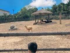 -泉州海丝野生动物世界