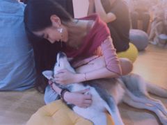 -Husky Go! 哈士奇体验馆·宠物咖啡厅狗咖