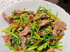 泡辣椒炒牛肉-壹盏灯(蚂蚁工房店)