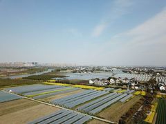 -小鱼草莓采摘园农家乐·小鱼餐厅