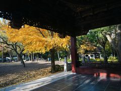 -汇龙潭