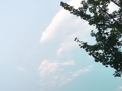 -老刘家泡馍·陕西老字号(钟楼广济街店)