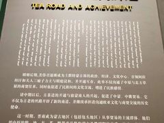 -包头博物馆