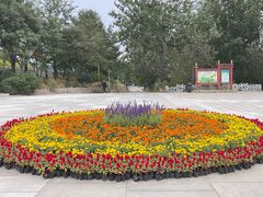 -玉佛苑