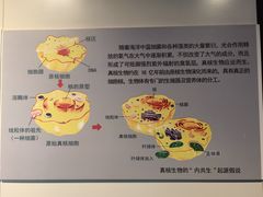 -安徽省地质博物馆