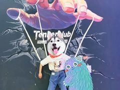 -Tenker Club弹刻极限主题公园 · 蹦床 · 团建 · 生日派对(大关店)