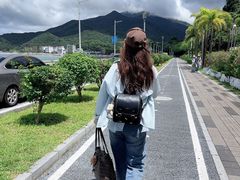 -杨梅坑