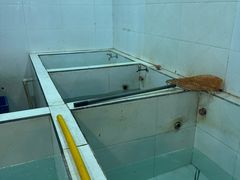 -贡椒鱼老店·雅安十大名店