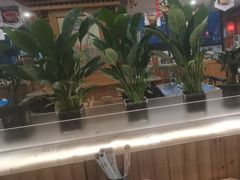 -大清花饺子(山庄店)