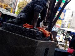 -涩谷全向十字路口