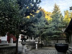 -兴教寺