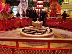 -拉斯维加斯永利酒店