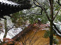 -慧因高丽寺