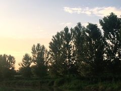 -洨河生态公园