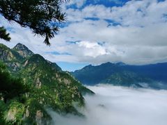 -陕西省红河谷森林公园