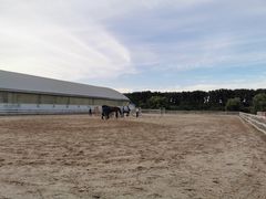 -月河湾马术俱乐部(朝阳店)