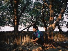 -宝安西湾红树林湿地公园