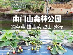 -凤岗南门山森林公园