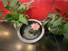 -昂立少儿成长中心(浦东蓝村路地铁站校区)