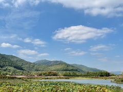 -径山花海